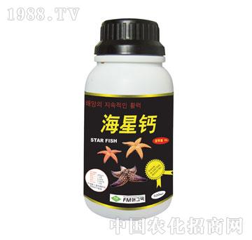 �˰�-�����}