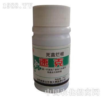 ��ɽ����-���砀���ٿ�