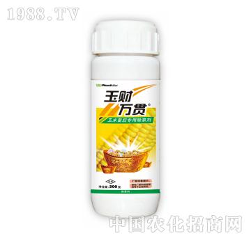 ��ؔ(c��i)�f؞-̩�