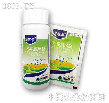 240��/������������-韲݃�-̩�