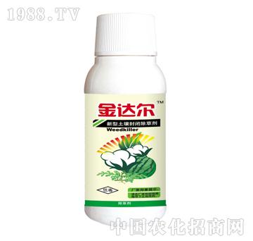 ���_(d��)��-̩�