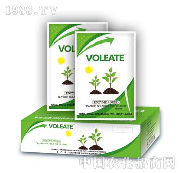 ������-̩�