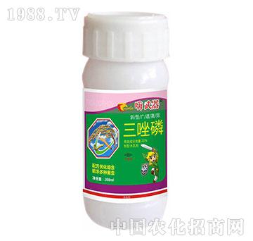 20%������-������-�����r(n��ng)ˎ