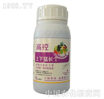 �߿�-�������L��(g��)-�����r(n��ng)��