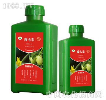 ������������������Һ��