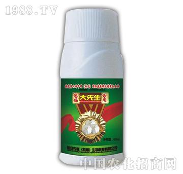 ������ƿ-�°��r��