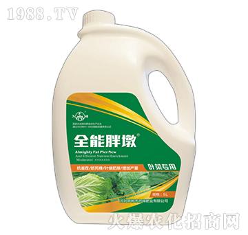 ȫ���ֶ�-�~�ˌ���-��