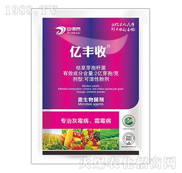 專治灰霉病霜霉病-億豐收-安得泰