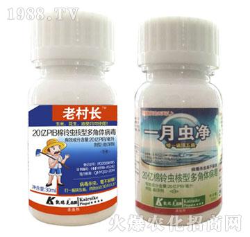 棉鈴蟲核型多角體病毒-老村長+一月沖凈-凱瑞克