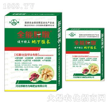 �t�������������^����-