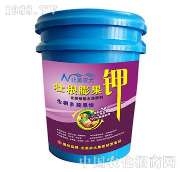 �Ѹ�����-�����r(n��ng)��