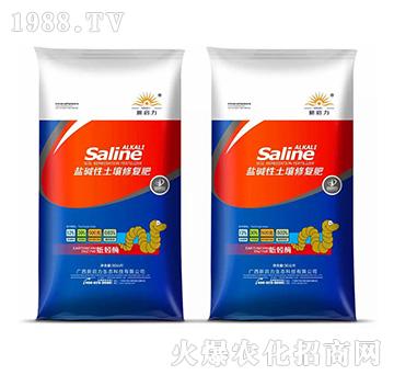 ���ø�}�A�������ޏ�(f��)��-����