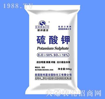 �۠������-(li��n)��μ�