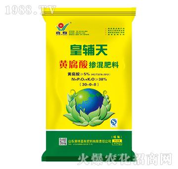 ���o���S���ᓽ�����30-0-8-���з���