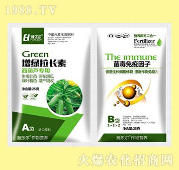 ���G���L�������J����+