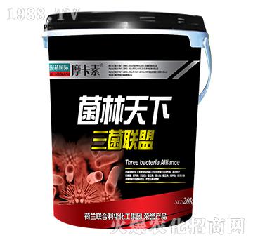 ������������(li��n)��-Ħ��