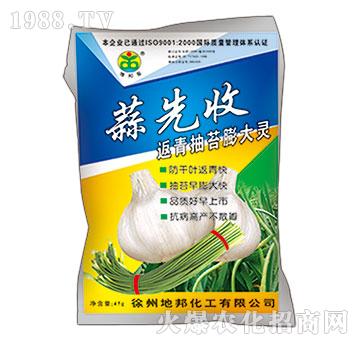 �����̦���-������