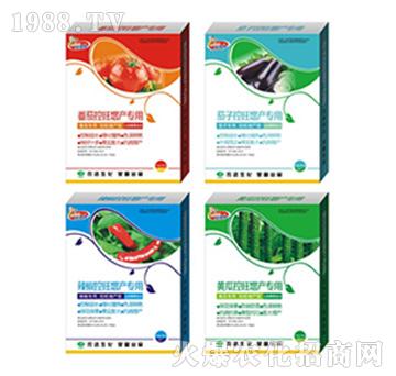 ���������ӡ��������S��