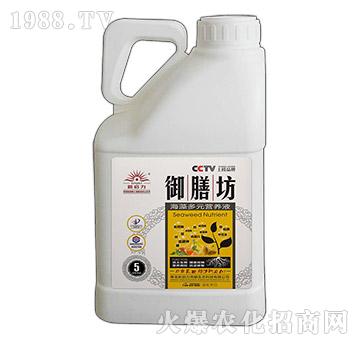 5kg�����Ԫ�I(y��ng)�B(y��ng)Һ-���ŷ�-����