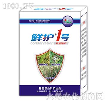 �r�o(h��)1̖-�Խ