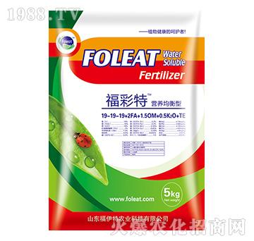 �I�B(y��ng)������ˮ�ܷ�19-19-19-������-������