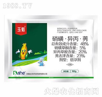 48%���ǡ�������ݬ-