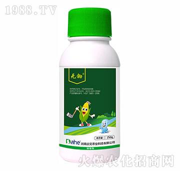 玉米除草劑-無鋤-遠見農業(yè)