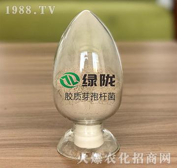 膠凍樣芽孢桿菌-綠隴生物