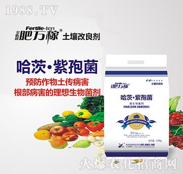 ΢�������-���ġ����߾�-���f��-꿾�