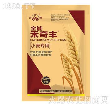 С������ȫ�ܺ����S-��