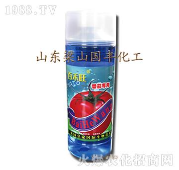 番茄專用葉面肥-梁山國(guó)豐