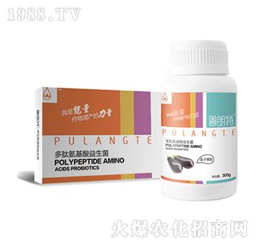 ��������-���İ�����������-������