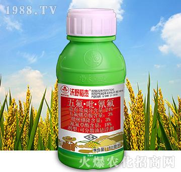 24%������������-��Ұ����-�к����_(d��)