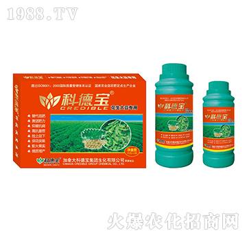 �����󶹌��àI(y��ng)�B(y��ng)���a(ch��n)�{(di��o)�턩-�Ƶ�