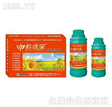 �Ͳˡ����տ����àI(y��ng)�B(y��ng)���a(ch��n)�{(di��o)�턩-�Ƶ�