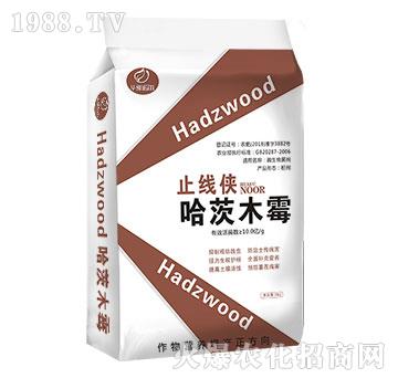 ΢�����������ľù-ֹ���b-�Z��