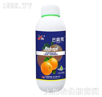 �������-�͸���-꿾�