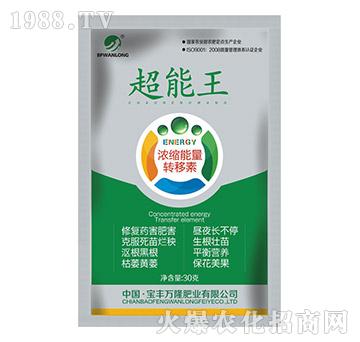 濃縮能量轉(zhuǎn)移素-超能王-寶豐萬隆