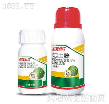 5%��x��-���Ʊ��R-�A������