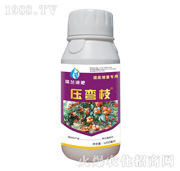 ���mҺ��-����֦-��(chu��ng)���r