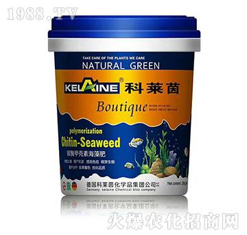 ̼ø�ך��غ����-���R��-�W���r(n��ng)�I(y��)