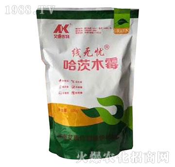 ����ľù-���o(w��)�n(y��u)-��������