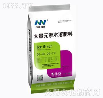 大量元素水溶肥料20-20-20+TE-（袋）-中誠國聯(lián)