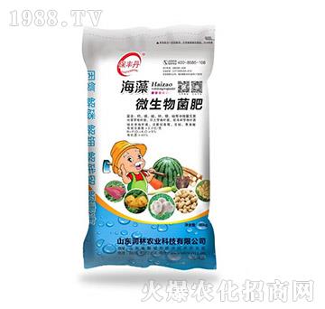 海藻微生物菌肥-保豐丹-潤林農(nóng)業(yè)