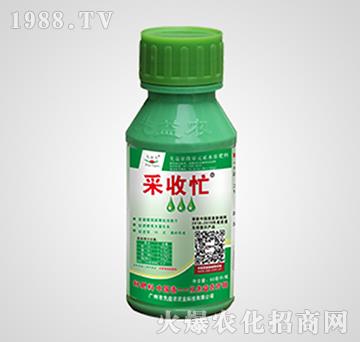 ΢��Ԫ��ˮ�ܷ���-����