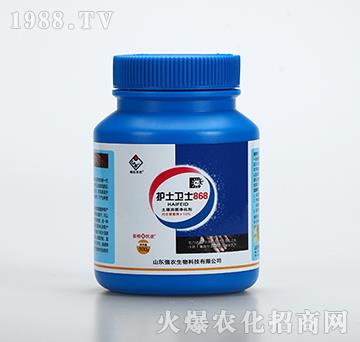 �o���l(w��i)ʿ868-���r����