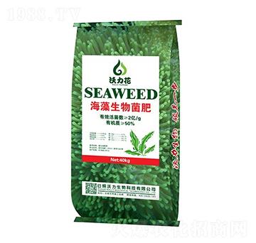 海藻微生物菌肥（2億）-沃力花-沃力生物