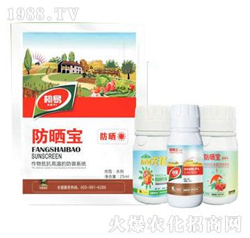 ����-����ֲ��