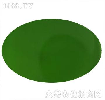 �~����Һ-��ʥ����