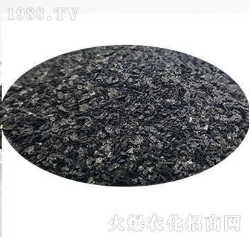 ���徫ԭ��-��ʥ����